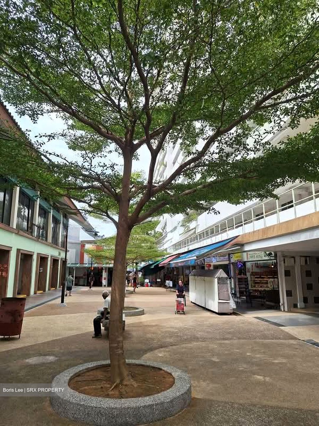 70A GEYLANG BAHRU (D12), Shop House #531147761